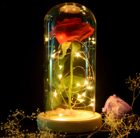 Rose in a glass dome