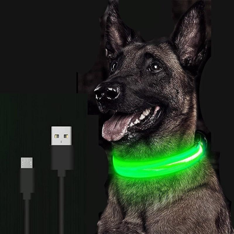 Adjustable LED Glowing Pet Collar - FajarShuruqSA