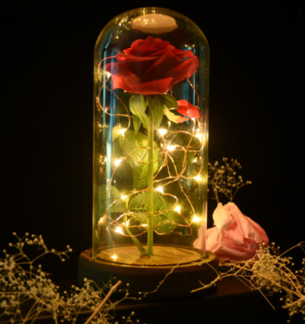 Rose in a glass dome