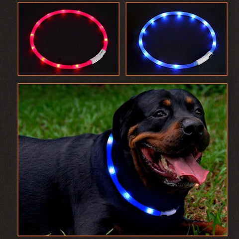 Luminous Pet Collar - FajarShuruqSA