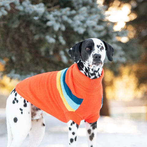 Alpine Sweater - Orange FajarShuruqSA