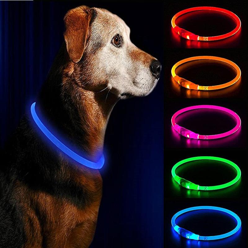 LED Waterproof Dog Collars - FajarShuruqSA