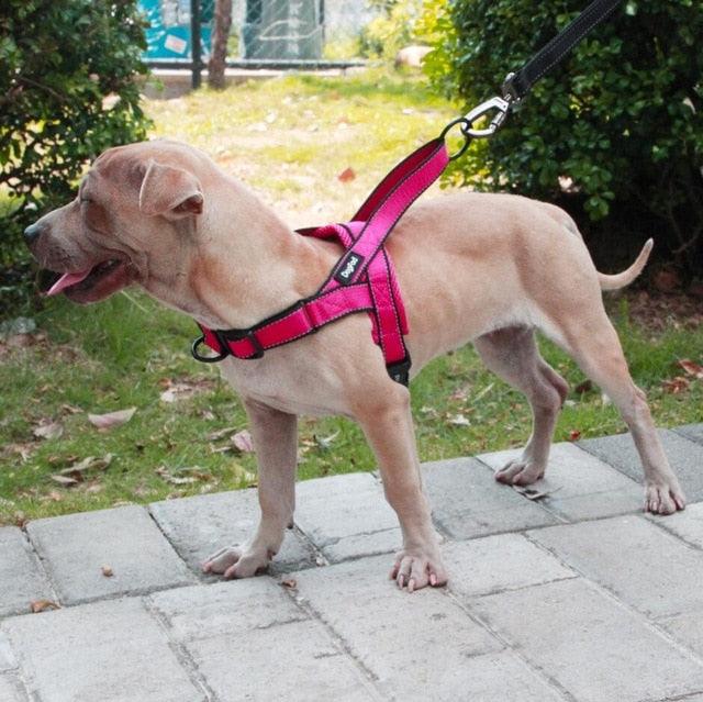 Adjustable Dog Harness - FajarShuruqSA