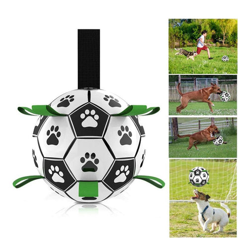 Soccer Ball Dog Toy FajarShuruqSA