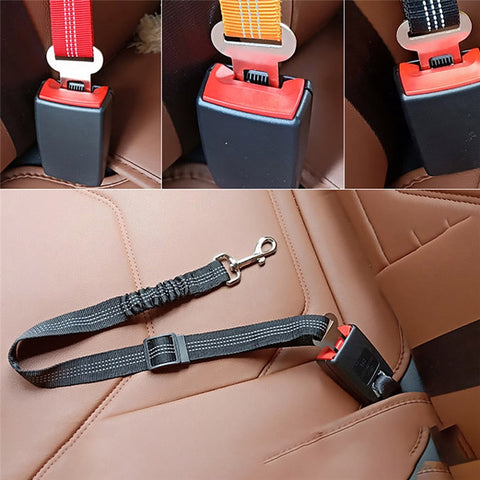 Ride With Me™ Pet Seat Belt