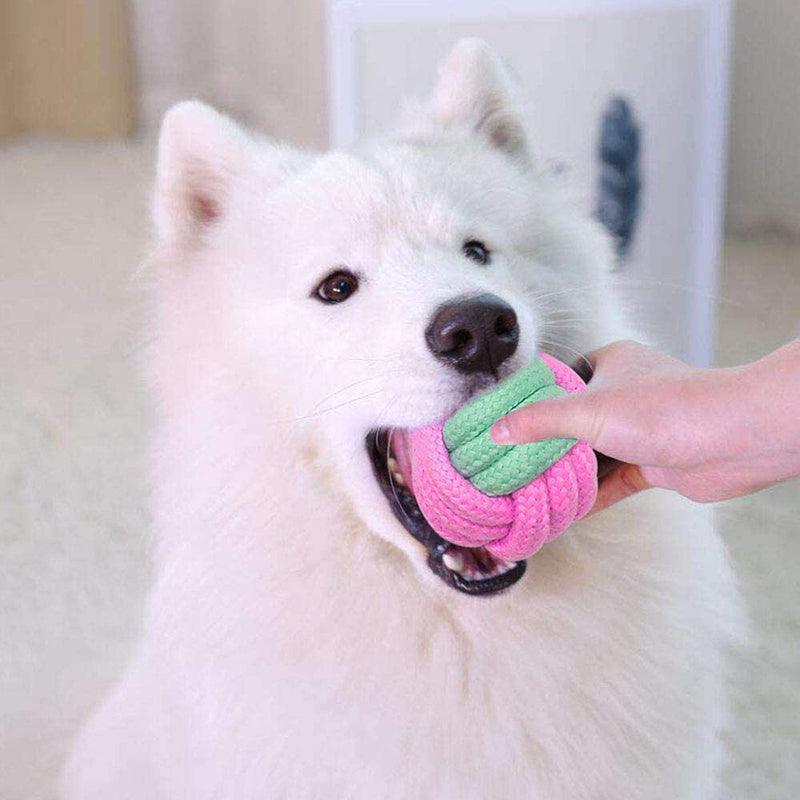 Pet Dog Chew Toys - FajarShuruqSA
